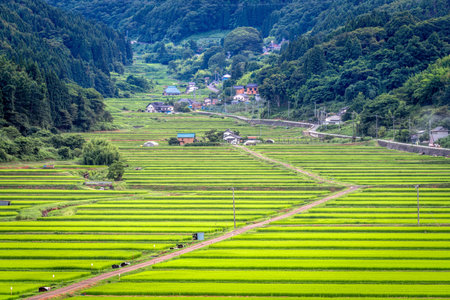 Nagano Prefecture, Japan at rural Tanokuchi Rice Terraces.