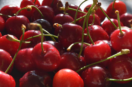 Close-up on red fresh cherries in light shadow