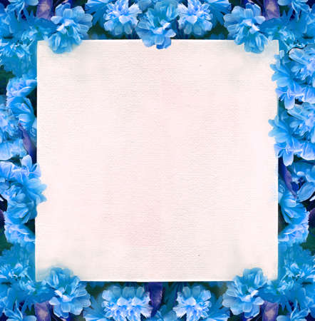 romantic blue button roses frame, with empty blank spaceの写真素材