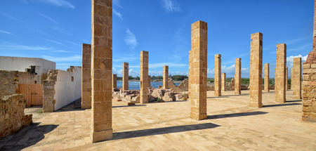 Skeleton of columnsの写真素材