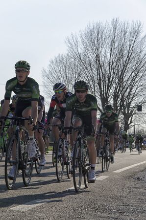 VICOPISANO, ITALY - MARCH 12: Bicycle race March 12, 2015 in Vicopisano, Italyのeditorial素材