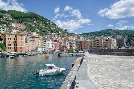 View of the marina of Camogli in summerの写真素材