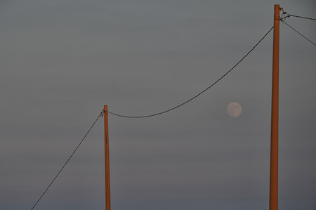 View of moon framed by light polesの写真素材