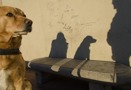 Shadow of pet, woman and man on the wallの写真素材
