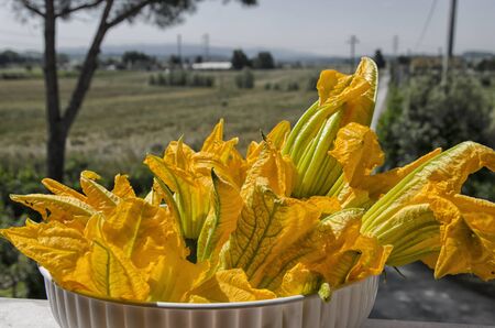 View of a fresh harvest of zucchini flowersの写真素材