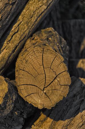 View of a woodpile at the sunsetの写真素材