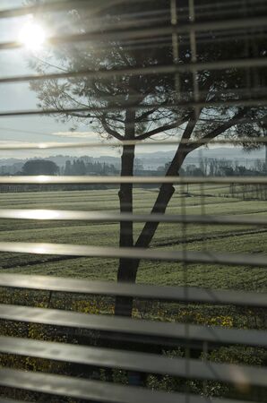 Italian countryside seen through the persian blindsの写真素材