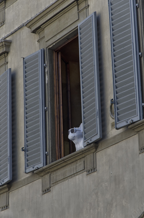 View of a cool french bulldog puppet at the windowの写真素材