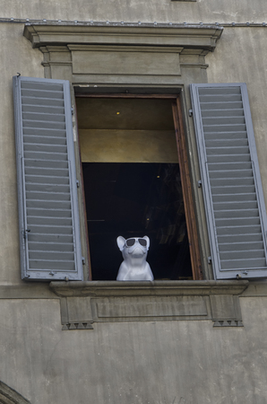 View of dog puppet at the windowの写真素材