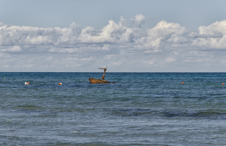 View of a rusty sunken boat near the beachの写真素材