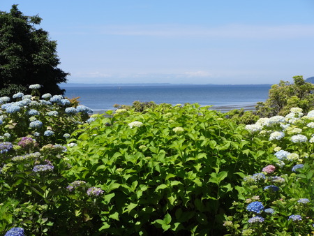 Sunshine showering a garden with water viewの写真素材