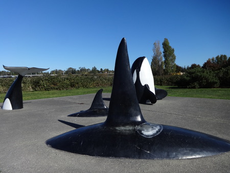 Killer whales statuesのeditorial素材