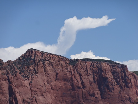 Red rock cliff at Zion National Parkの写真素材