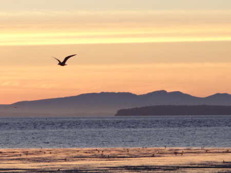 Sunset sky at the bayの写真素材
