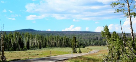 Highway runs in Dixie National Forest in Utah