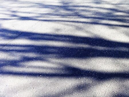 Autumn shadows on the pavement
