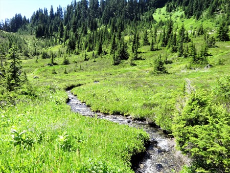A small stream flows in a mountain meadowの写真素材