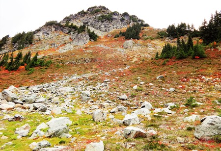Winchester Mountain in fall colorの写真素材