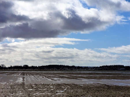 Migrating birds fly over a rain soaked field in early spring under unstable weather