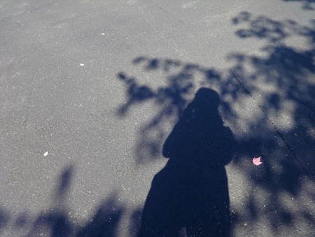 A silhouette of human and leaves on the pavementの写真素材