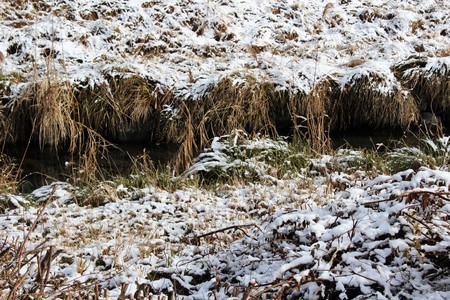 Snow covered grass on a riverbank in Japanの写真素材
