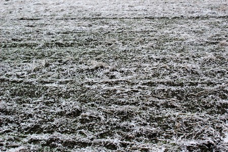 Trace of new snow on farmlandの写真素材