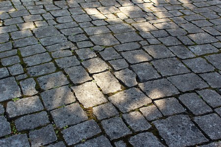 Shadows on a cobblestone street