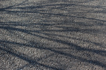Tree branch shadows on the pavementの写真素材