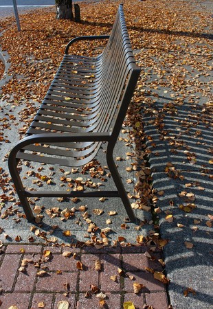 Leaves fell on a sidewalk and a steel bench on a sunny day
