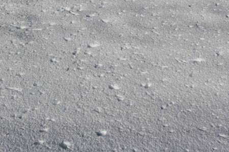 Snow fell from tree branches above, and scattered on the groundの写真素材