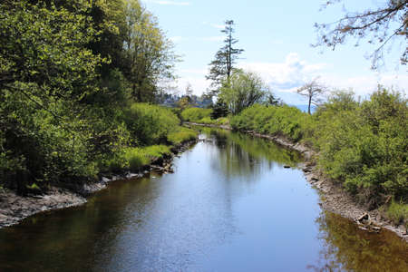 Terrell Creek slowly flows to the mouth, saltwater and freshwater estuaries in Birch Bay