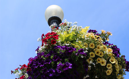 Flower baskets on the top of a street lamp poleの写真素材