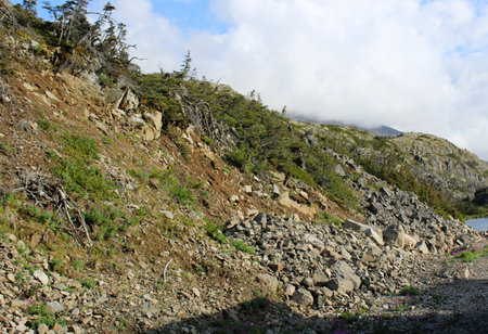A little landslide on a slopeの写真素材