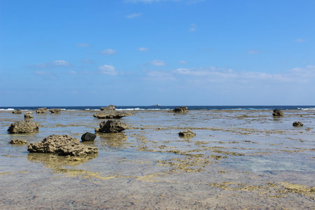 Coral reefs protect lagoons from Pacific Ocean's rough wavesの写真素材