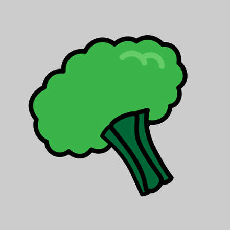 Broccoli fresh vegetable vector illustrationのイラスト素材