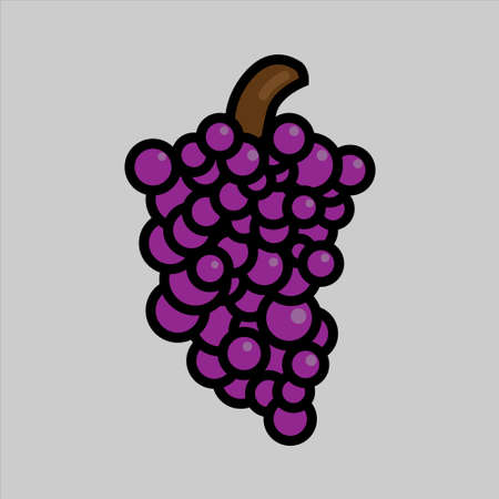 Grapes fresh fruit vector illustrationのイラスト素材