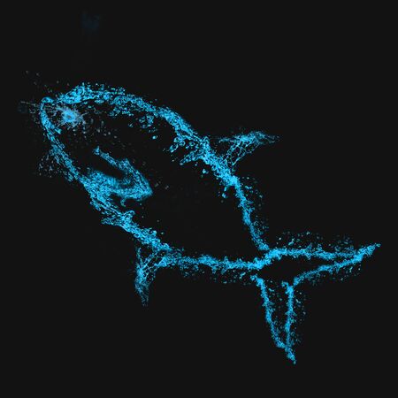 Water splashes on a black background in the form of fishの写真素材