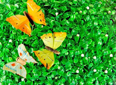 Multi-colored not natural butterflies on green bright leaves

の写真素材