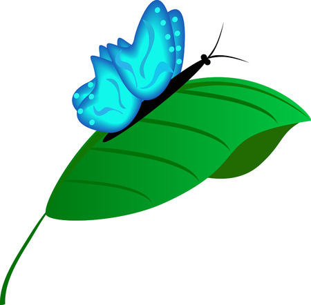 The beautiful blue butterfly on a green leafletのイラスト素材