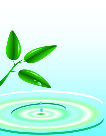 Young green branch with drops of dew against waterのイラスト素材