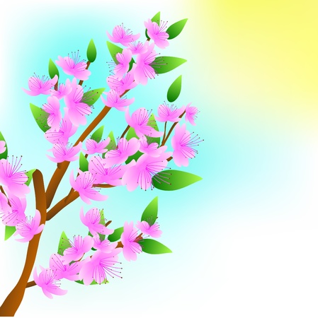 Spring tree in the pink  blossom, a branch with colorsのイラスト素材