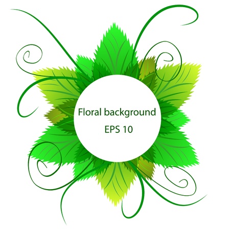 Natural icon from green leaves with curlsのイラスト素材