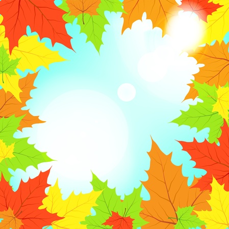 Multi-colored maple leaves in the light of sun patches of lightのイラスト素材