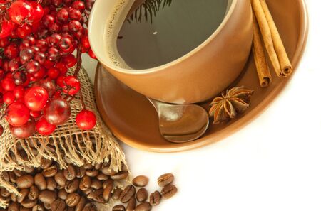 Christmas branch from berries and a fur-tree and a cup of coffeeの写真素材