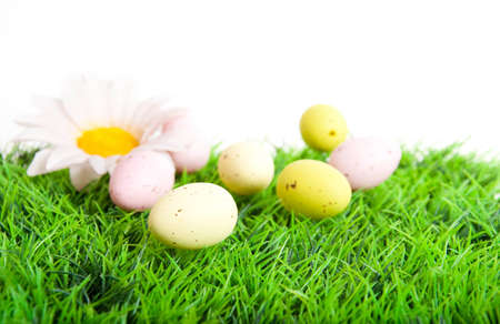 Easter card. Multi-colored eggs on a white background