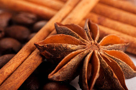 Sticks of cinnamon and an anisic star on coffee grainsの写真素材