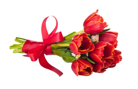 Bouquet of red tulips on a white backgroundの写真素材