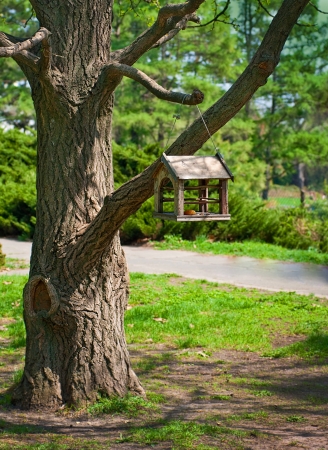 Wooden birds feeder on an old treeの写真素材