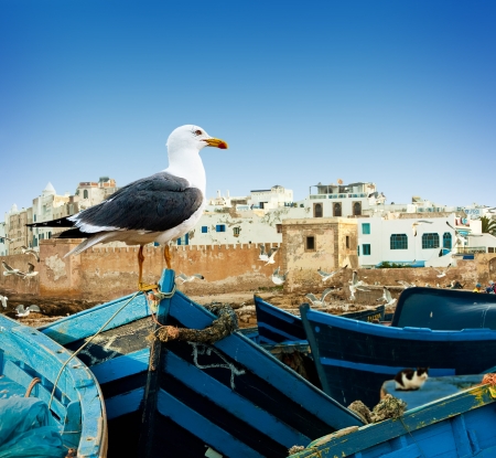Blue fishing boats on an ocean coast in Essaouira, Moroccoの写真素材