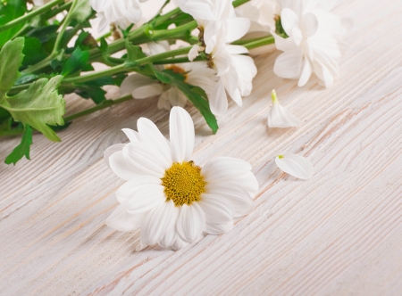 A bouquet of white daisies, wildflowersの写真素材
